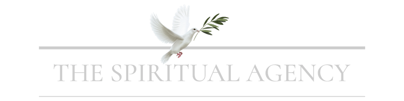 The Spiritual Agency Silver Text 800x200